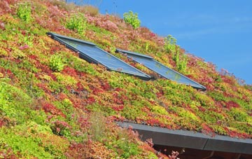 Little Ouseburn living roof systems